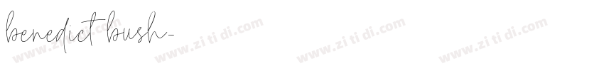 benedict bush字体转换